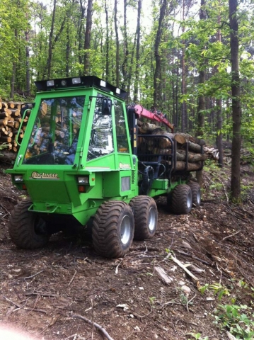 Operazioni di manutenzione boschiva Osmate (VA)